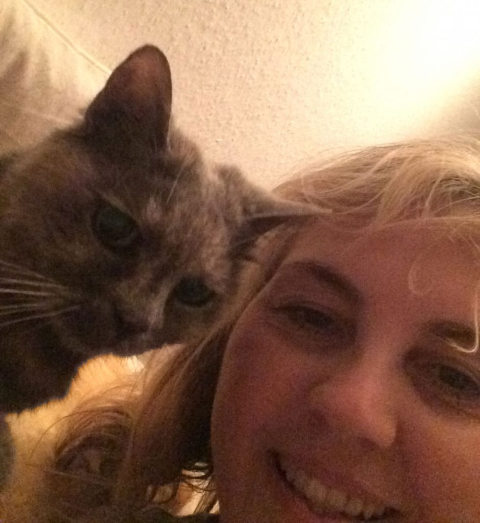 Katze Ruft Und Schreit In Der Nacht Normales Verhalten